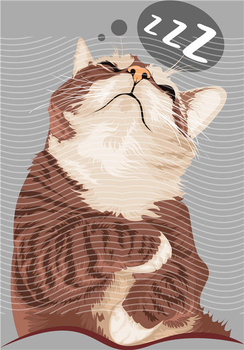 Street design-JT 3607